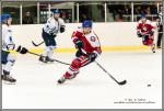 Photo hockey match Wasquehal Lille - Paris (FV) le 13/02/2016