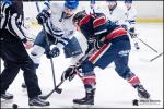 Photo hockey match Wasquehal Lille - Paris (FV) le 17/11/2018