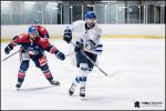 Photo hockey match Wasquehal Lille - Paris (FV) le 17/11/2018