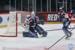 Photo hockey match Z�rich - Langenthal le 17/01/2026