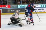 Photo hockey match Zrich - Lugano le 27/10/2023