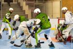 Photo hockey reportage   N3 : Villard Bonnot vs Tricastin