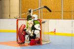 Photo hockey reportage   N3 : Villard Bonnot vs Tricastin