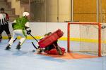Photo hockey reportage   N3 : Villard Bonnot vs Tricastin