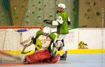 Photo hockey reportage   N3 : Villard Bonnot vs Tricastin