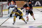 Photo hockey reportage Amical : Amiens vs Rouen