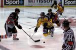 Photo hockey reportage Amical : Amiens vs Rouen