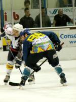 Photo hockey reportage Amical : Dijon- Reims - Article en Ligne