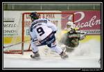 Photo hockey reportage Amical : Rouen vs Angers 
