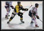 Photo hockey reportage Amical : Rouen vs Angers 