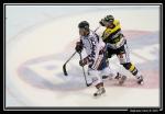 Photo hockey reportage Amical : Rouen vs Angers 