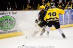 Photo hockey reportage Amical : Strasbourg - Ajoie (LNB)