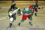 Photo hockey reportage Amical fminin : Cergy - High School Aspen Leafs
