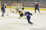 Photo hockey reportage Amical Vipers-Renards
