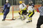 Photo hockey reportage Amical Vipers-Renards