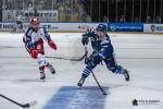 Photo hockey reportage CDF - FINALE 2024 - Reportage photos de Yves