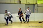 Photo hockey reportage CDF Roller : Besanon a tout bon