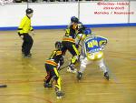 Photo hockey reportage CDF Roller : Incroyables Griffons !