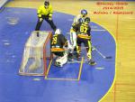 Photo hockey reportage CDF Roller : Incroyables Griffons !
