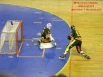 Photo hockey reportage CDF Roller : Incroyables Griffons !
