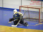 Photo hockey reportage CDF Roller : Incroyables Griffons !