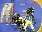 Photo hockey reportage CDF Roller : Incroyables Griffons !
