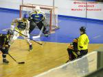 Photo hockey reportage CDF Roller : Incroyables Griffons !