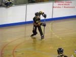 Photo hockey reportage CDF Roller : Incroyables Griffons !