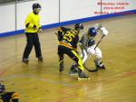 Photo hockey reportage CDF Roller : Incroyables Griffons !
