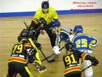 Photo hockey reportage CDF Roller : Incroyables Griffons !