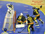 Photo hockey reportage CDF Roller : Incroyables Griffons !