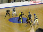 Photo hockey reportage CDF Roller : Incroyables Griffons !
