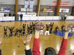 Photo hockey reportage CDF Roller : Incroyables Griffons !