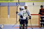 Photo hockey reportage CDF Roller : Les Bombardiers abattus