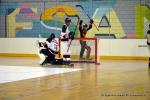 Photo hockey reportage CDF Roller : Les Griffons en quarts