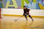 Photo hockey reportage CDF Roller : Les Tigres rgalent