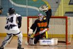 Photo hockey reportage CDF Roller : Les Tigres rgalent