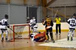 Photo hockey reportage CDF Roller : Les Tigres rgalent
