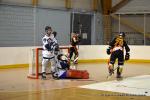 Photo hockey reportage CDF Roller : Les Tigres rgalent