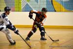 Photo hockey reportage CDF Roller : Les Tigres rgalent