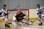 Photo hockey reportage CDF Roller : Les Tigres rgalent