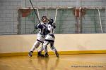Photo hockey reportage CDF Roller : Les Tigres rgalent