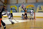 Photo hockey reportage CDF Roller : Les Tigres rgalent