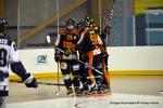 Photo hockey reportage CDF Roller : Les Tigres rgalent