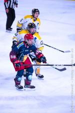 Photo hockey reportage Challenge U21  Grenoble