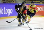 Photo hockey reportage CHL : Finir en beaut