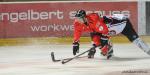 Photo hockey reportage CHL : Genve surclasse les Diables