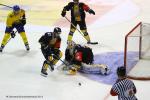 Photo hockey reportage CHL - Il ne manquait pas grand chose