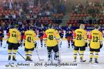 Photo hockey reportage CHL : Litvinov suprieur collectivement