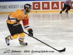 Photo hockey reportage CHL : Litvinov suprieur collectivement